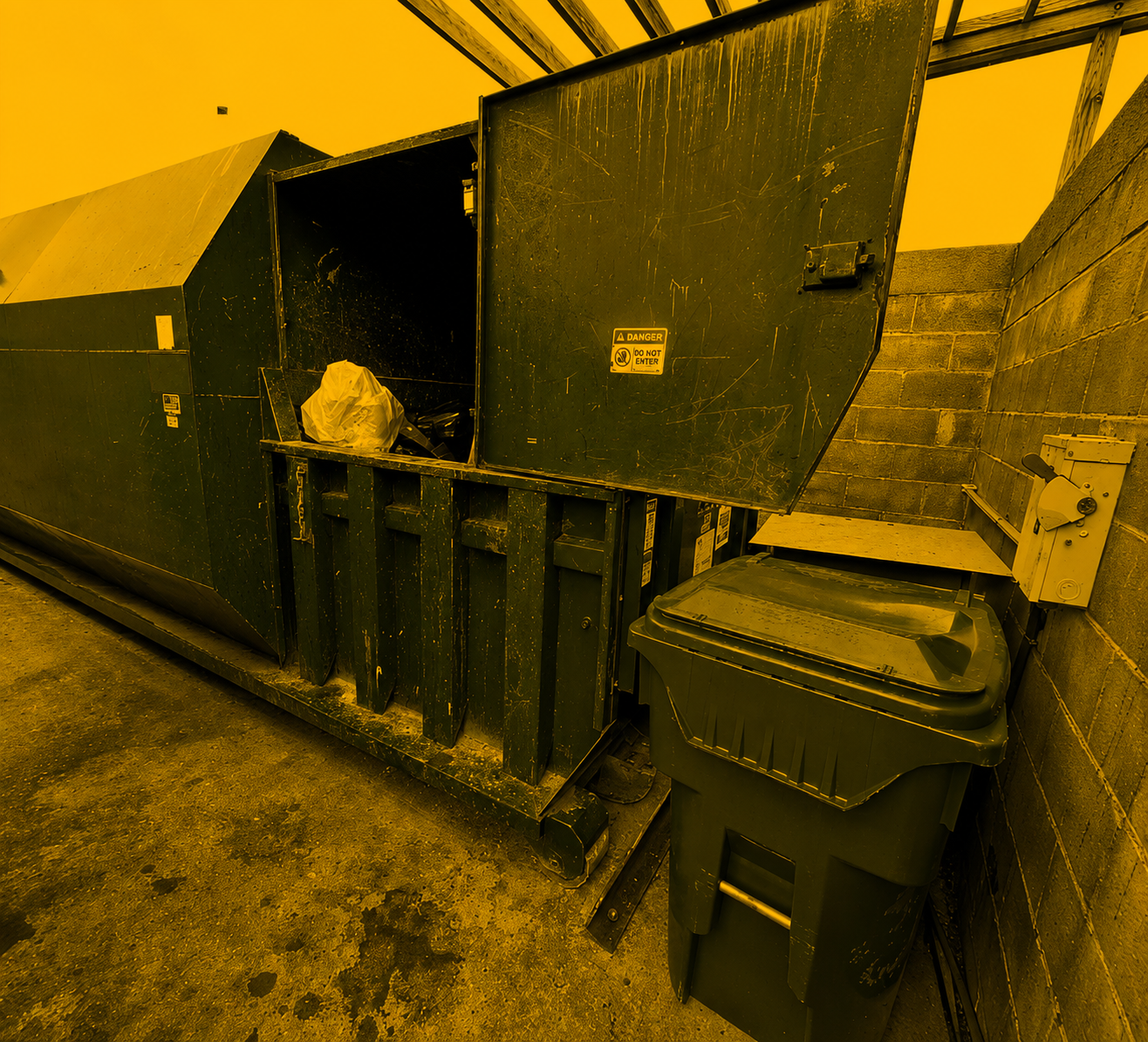 Food Waste Grinder