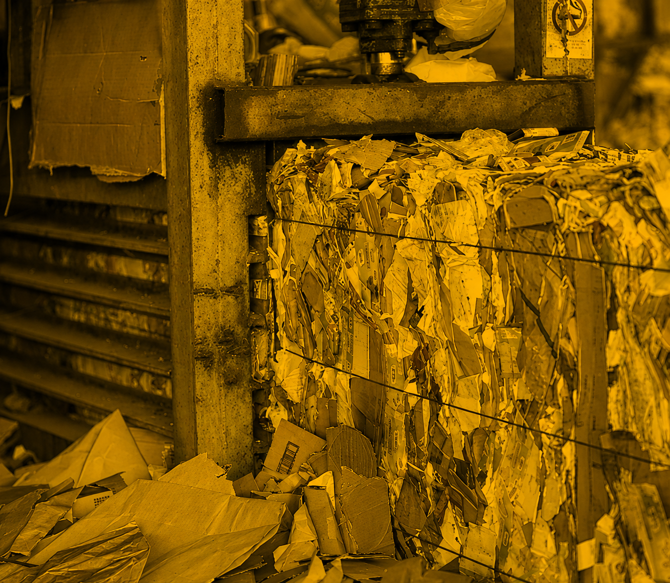 Food Waste Grinder