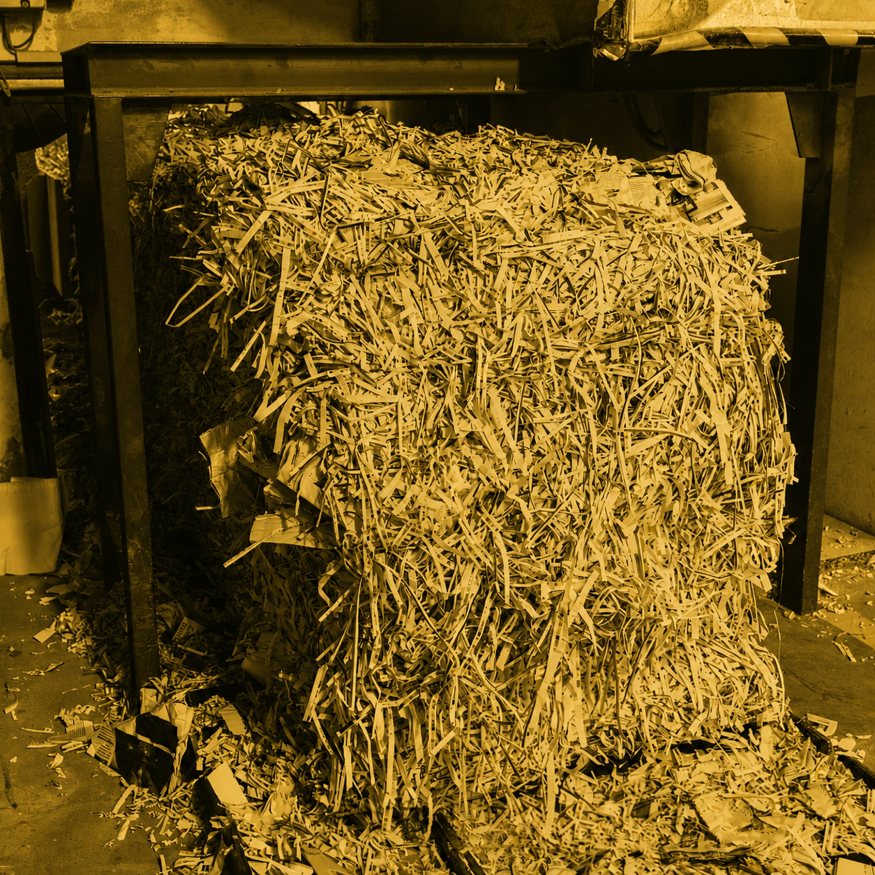 Food Waste Grinder