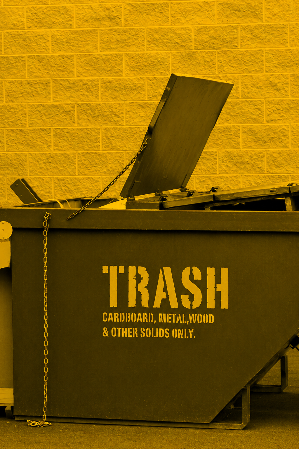 Trash-Compactor-Dumpster-2000-x-3000-px-2-683x1024 M 800XW